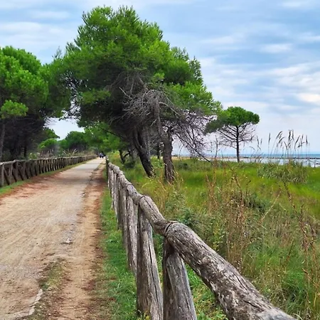 Modern And Spacious In